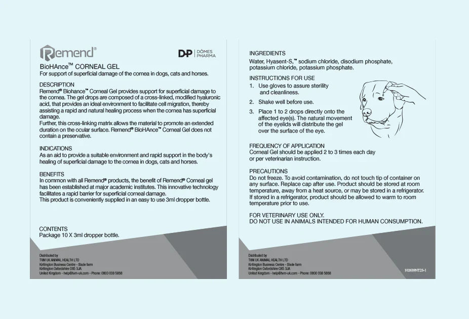 Leaflet