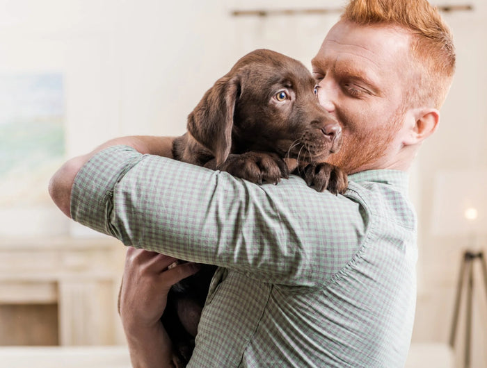 <p><strong>We care about Pets</strong></p><h1>About us</h1>