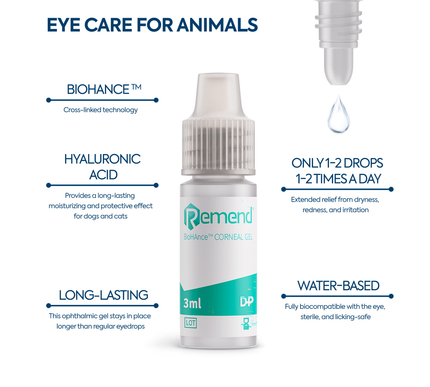 Eye care for animals