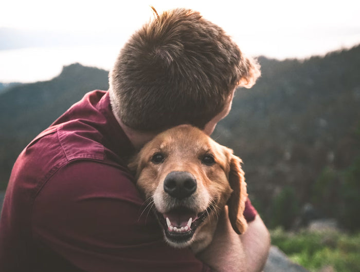 <p><strong>We care about Pets</strong></p>